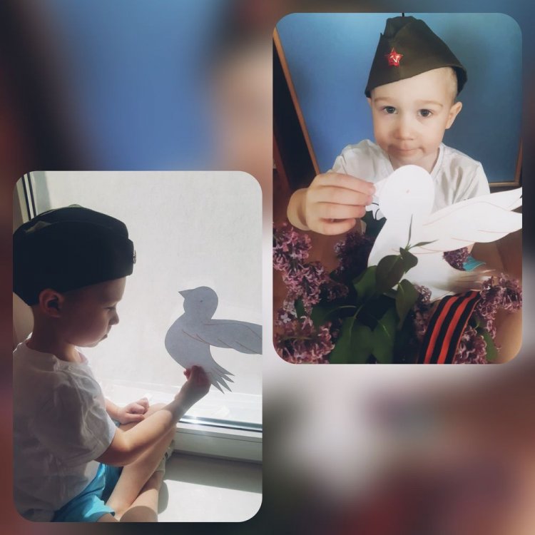 1588515420_goluby_mira_1