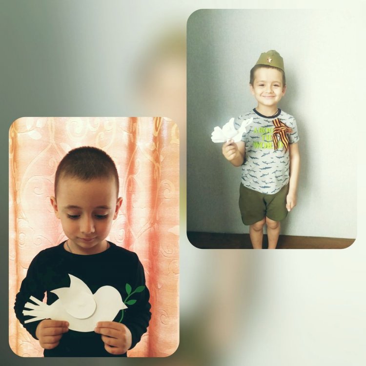 1588596445_goluby_mira_2