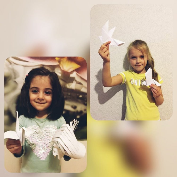 1588596478_goluby_mira_3