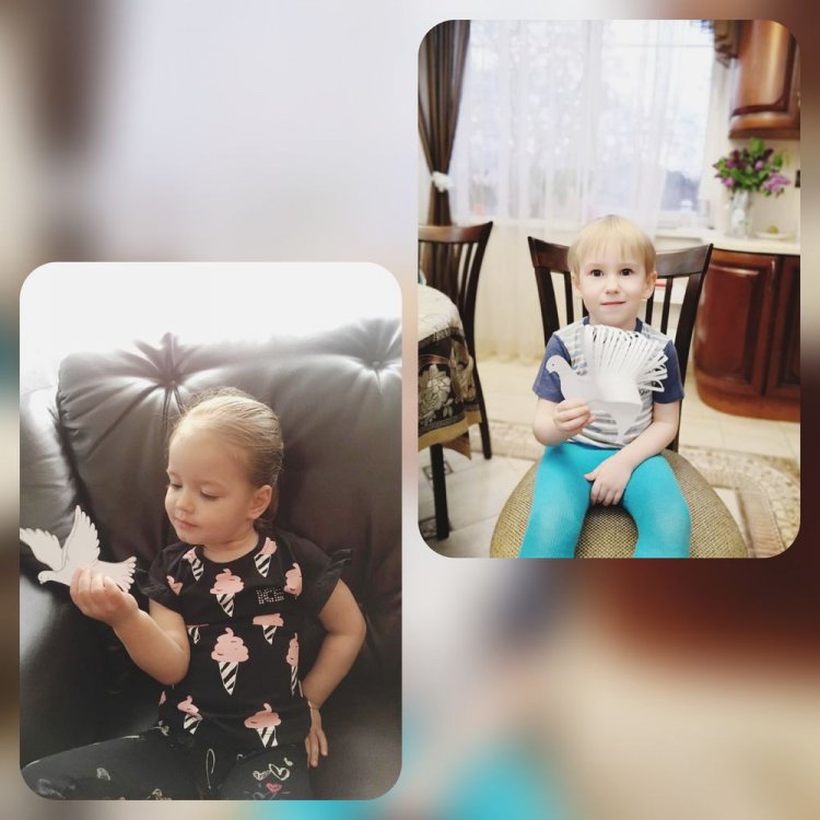 1588596519_goluby_mira_4