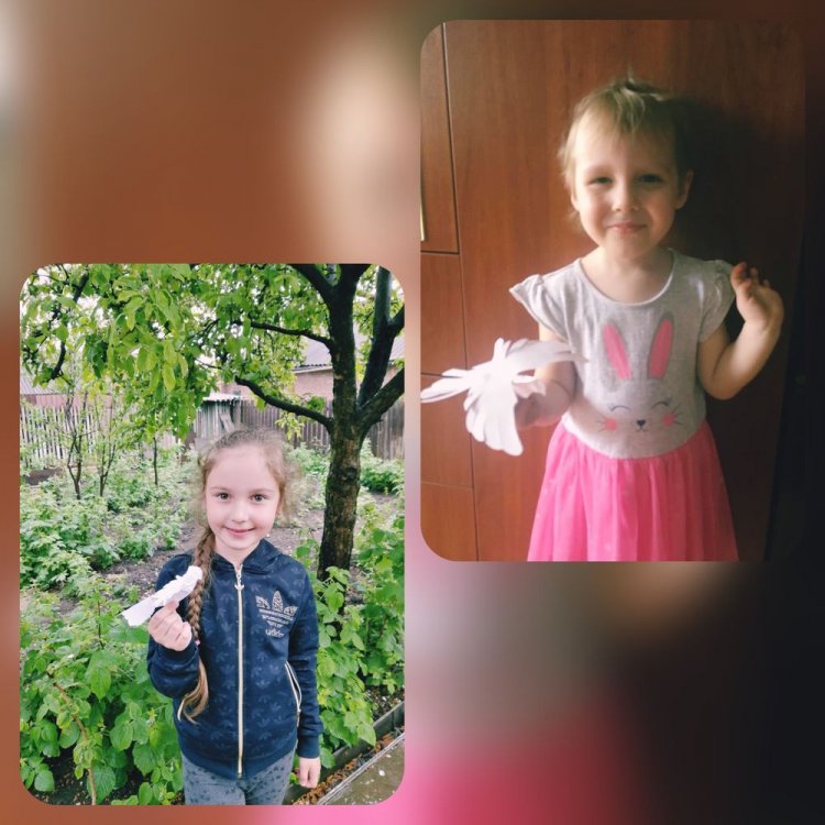 1588596525_goluby_mira_6