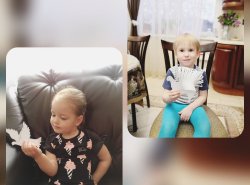 1588596519_goluby_mira_4