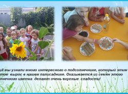 1566485987_leto_prihodi_opyaty_15