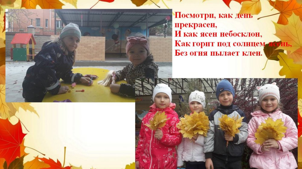 1576329340_hodit_oseny_v_nashem_parke_09