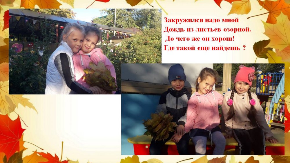 1576329340_hodit_oseny_v_nashem_parke_11