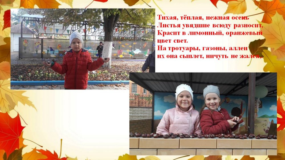 1576329409_hodit_oseny_v_nashem_parke_07