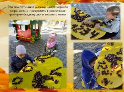 1576327753_oseny_vremya_progulok_12
