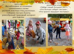 1576327783_oseny_vremya_progulok_02