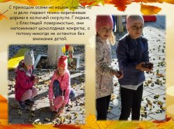 1576327790_oseny_vremya_progulok_11