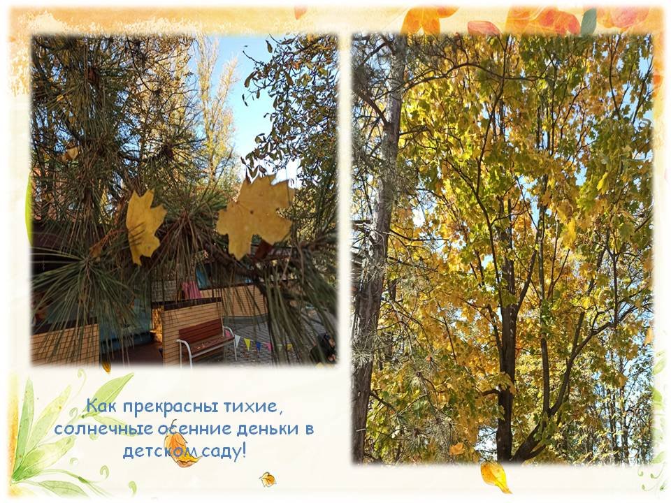 1606298347_osennie_progulki_03