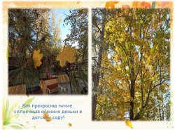 1606298347_osennie_progulki_03